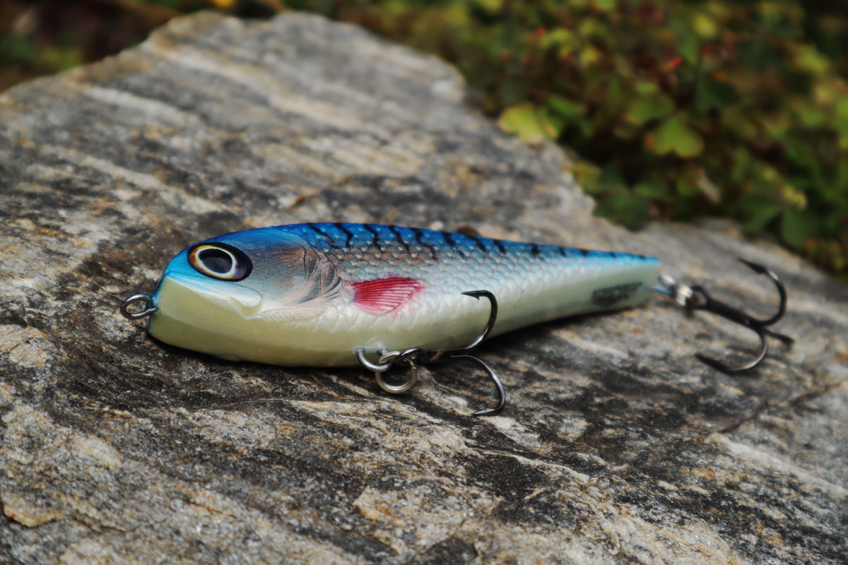 Jerk Classic Bluefin mackerel